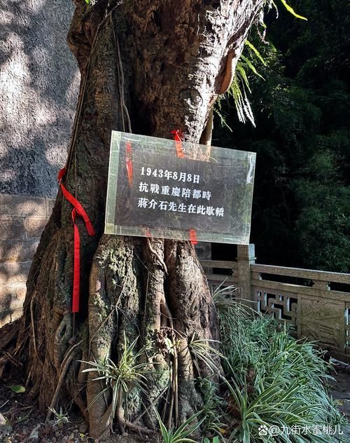 永仁县：滇川交界处的零感染坚守与物理屏障
