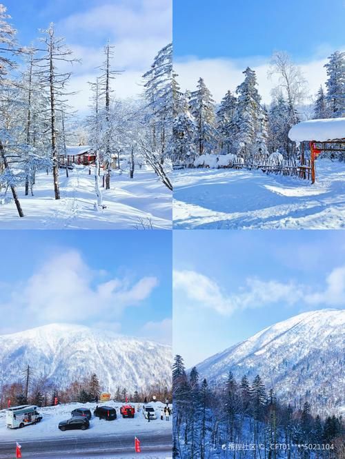 【海林雪原屏障下的零感染愿景：地理优势如何构筑防疫堡垒？】