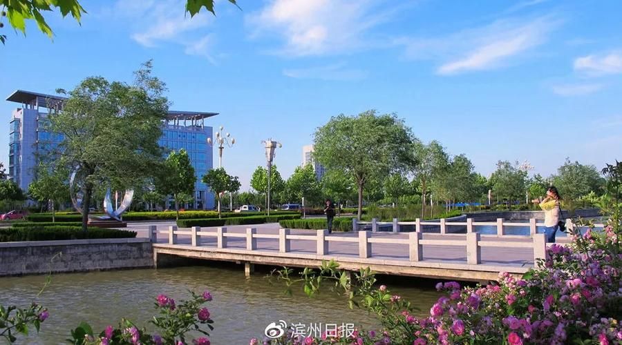 无棣：渤海湾畔的县域防疫样本解析