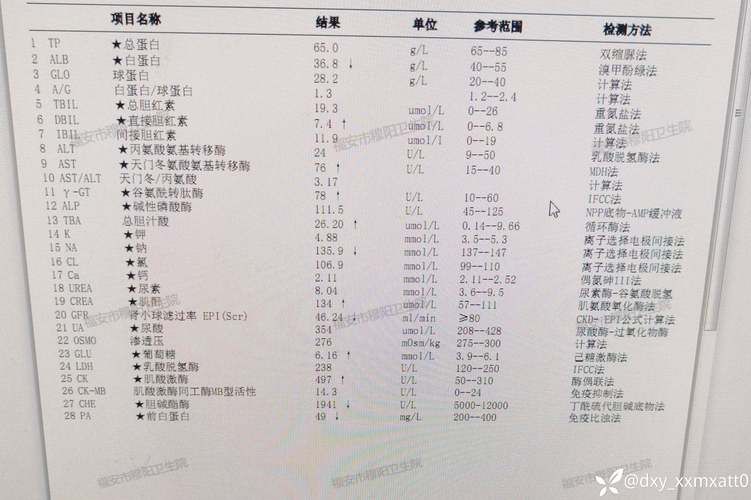 2022年11月25日元坝区新增确诊病例情况