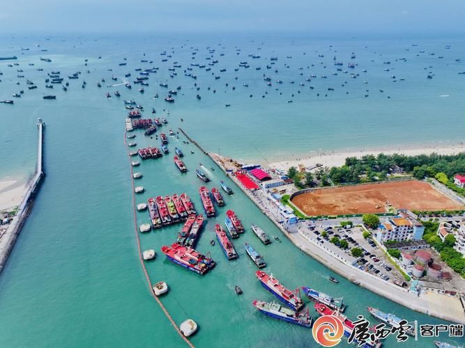 吴川江海交汇处的防疫破口：沿海渔港如何应对输入风险？
