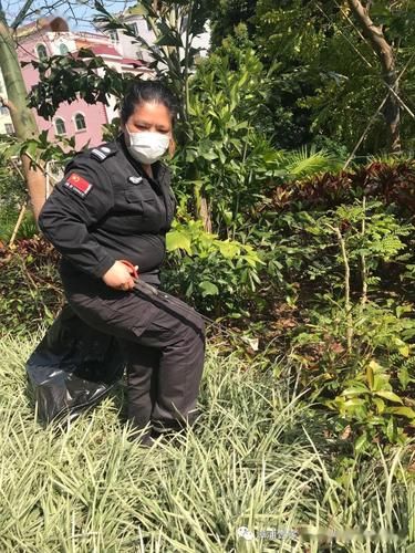 云和县疫情观察：山区小城的零感染防线与物理屏障