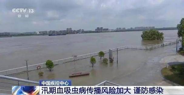 渝中半岛的防疫挑战：山城立体交通下的传播风险