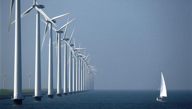 南汇临港：海风屏障下的疫情数据波动解析