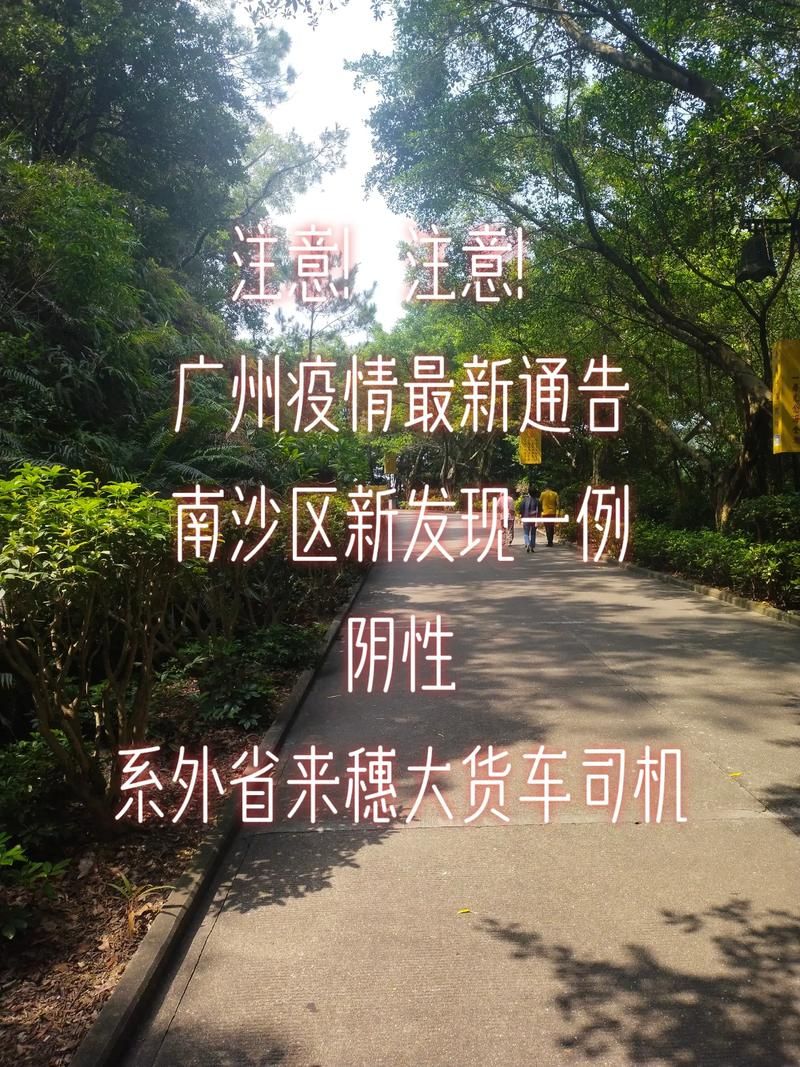 31省区市新增12例本土确诊，广州南沙区疫情最新消息