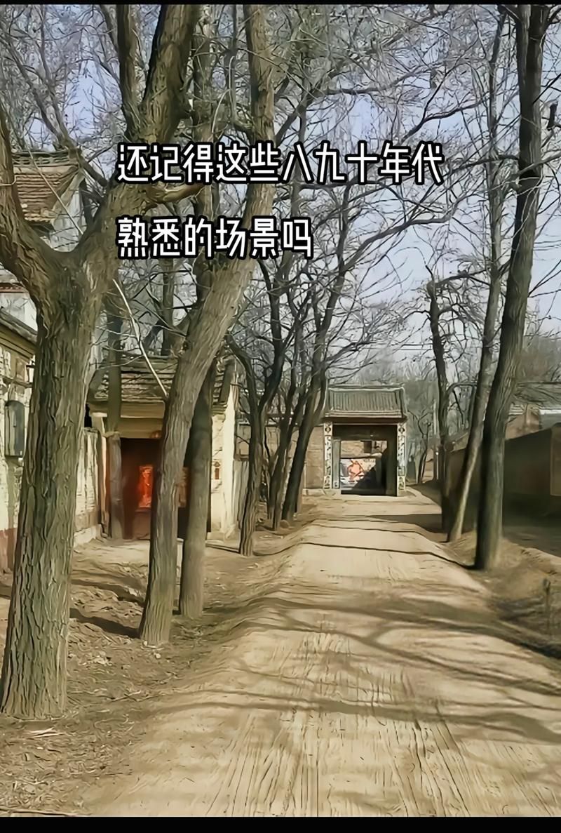 濮阳县：豫鲁交界处的疫情防线与破防时刻