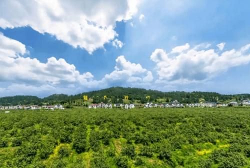 安岳县新增1例无症状感染者  安岳县疫情防控最新通报_83092