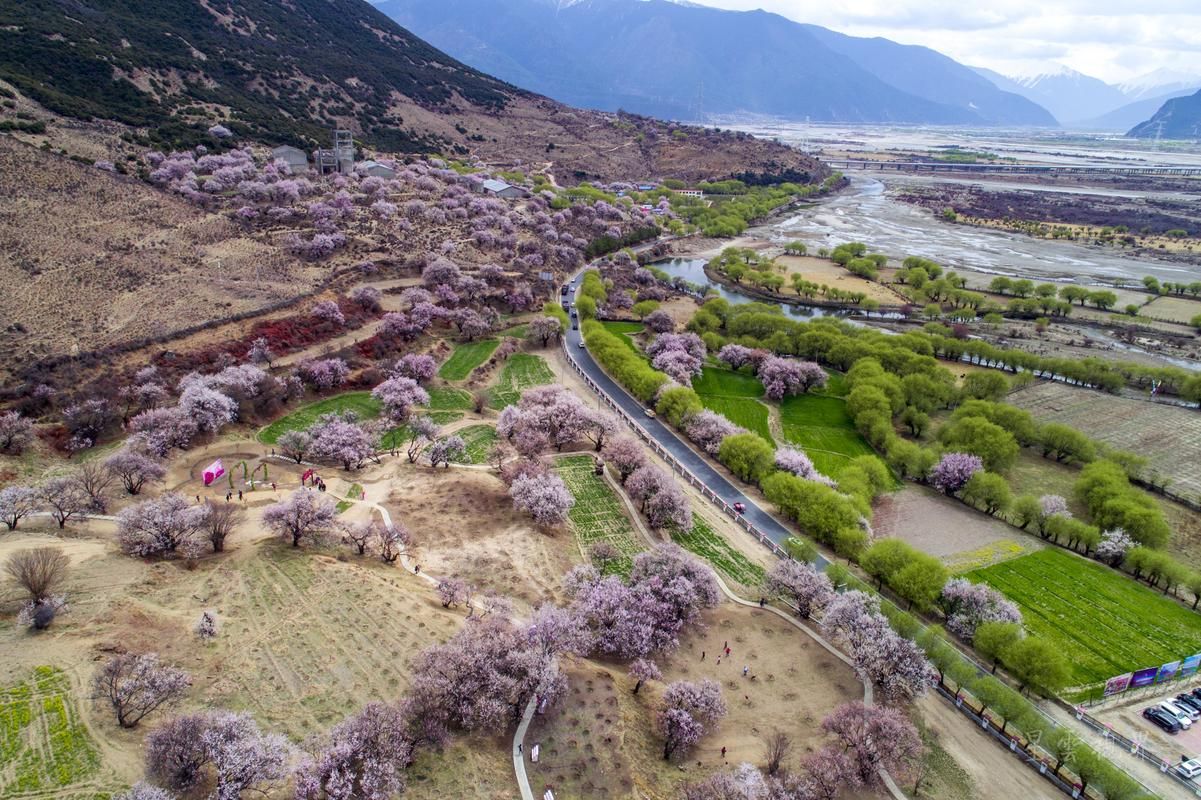 常山疫情观察：低海拔丘陵地带的防控挑战与应对