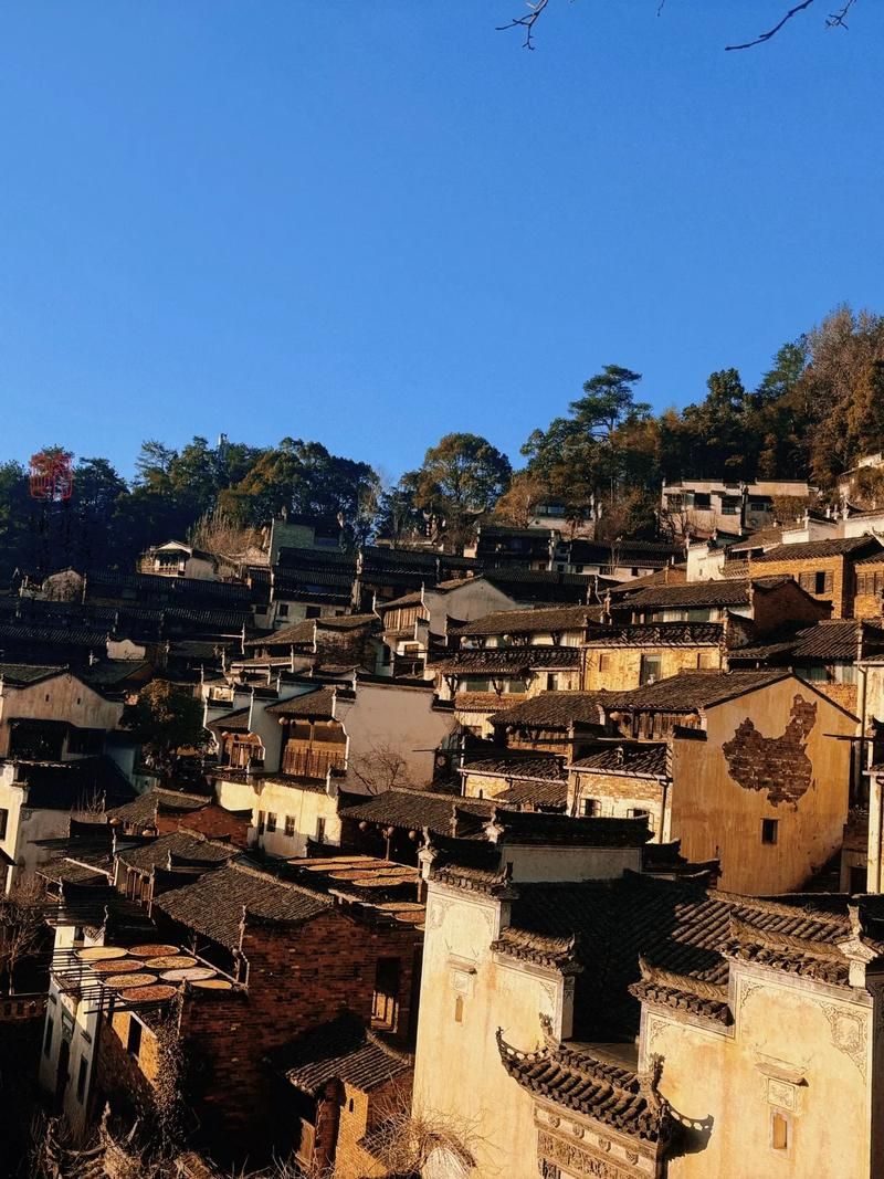 婺源：徽州古村群落下的零感染地理屏障_63863