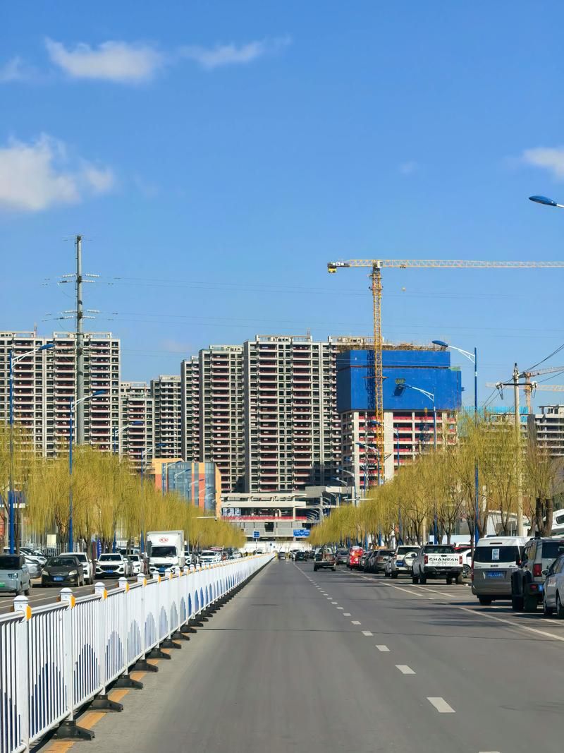 沙河市：交通枢纽下的疫情破防与围堵