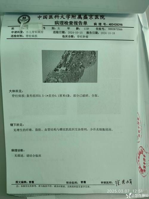 2022年11月25日利州区新增确诊病例情况