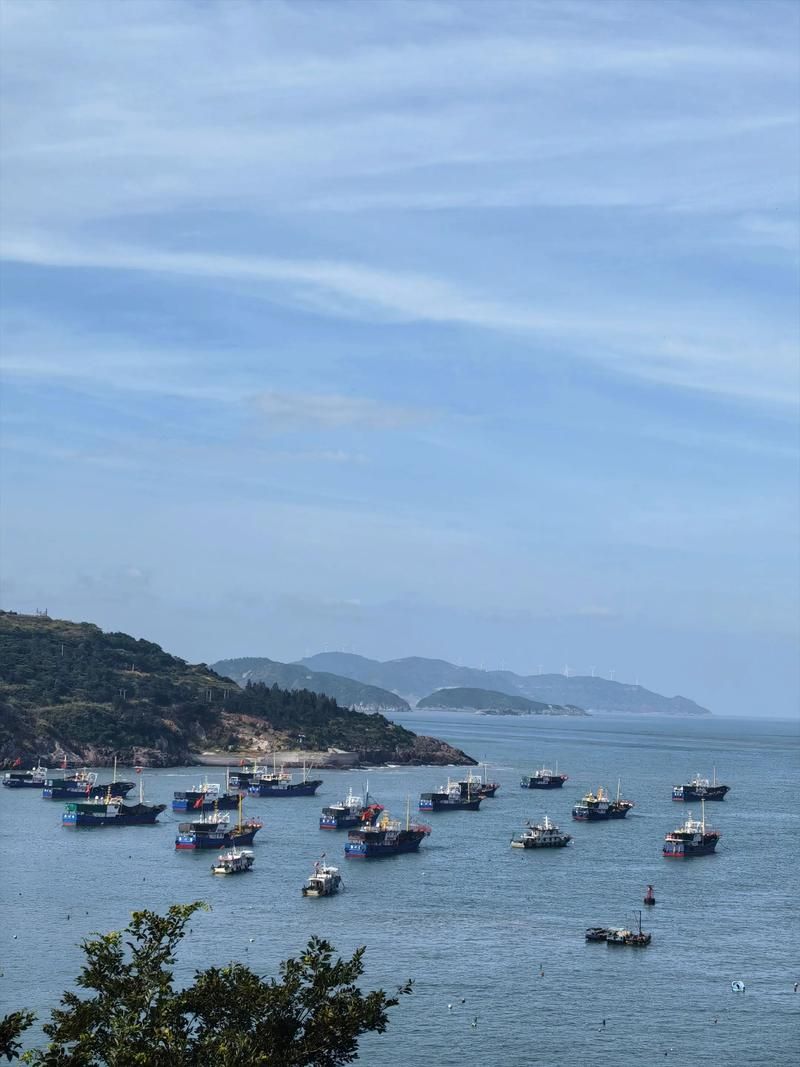 招远市：黄金海岸线上的零感染坚守_64473