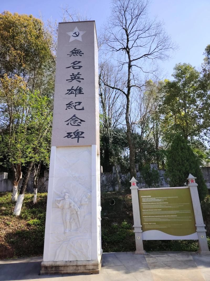宣恩县：鄂西林海屏障下的零感染坚守_86173