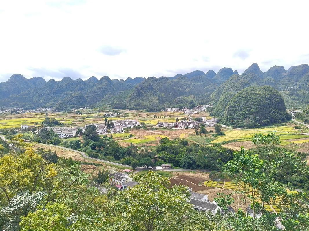 兴义市：喀斯特峰林屏障下的低感染样本解析