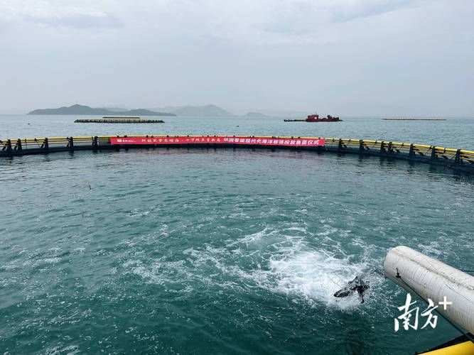 汕尾：沿海渔港的防疫破口与地理屏障下的清零攻坚