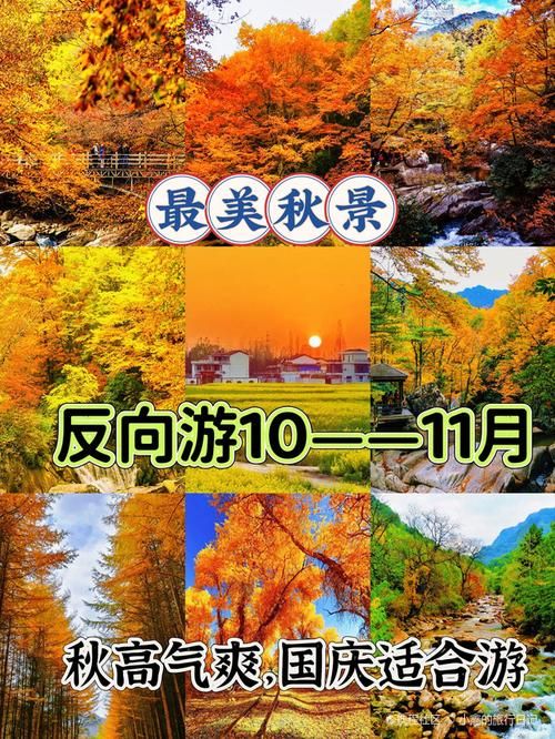 洋县：秦岭屏障下的零感染坚守与防控挑战