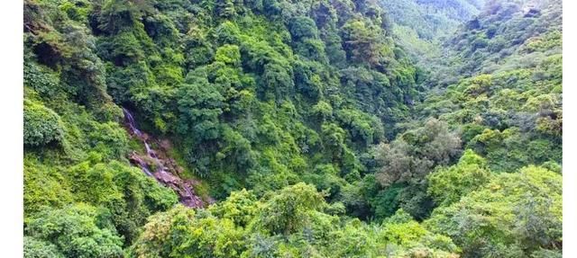 浦北：六万山屏障下的低感染样本观察
