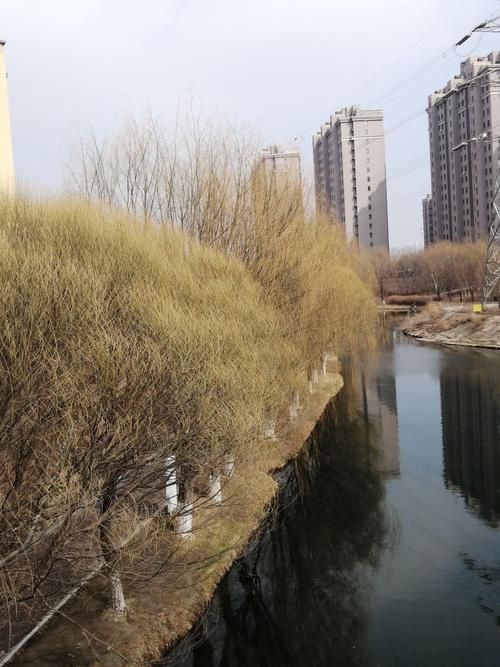 阳谷县：鲁西平原上的疫情防波堤