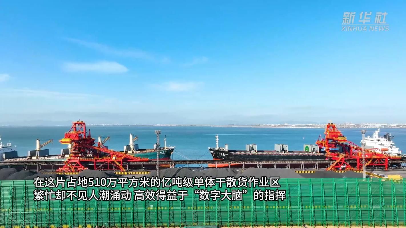 沿海小城的防疫平衡:日照港口经济与社区防控的双重压力