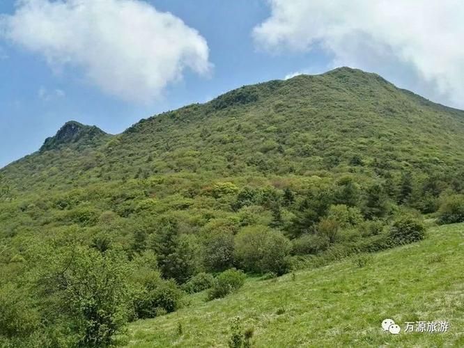 【万源：大巴山屏障下的低感染样本】