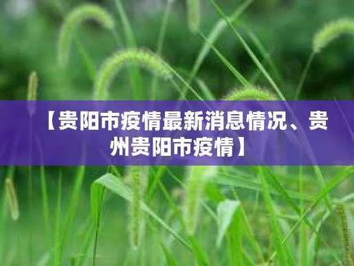 31省区市新增12例本土确诊, 贵阳疫情最新消息