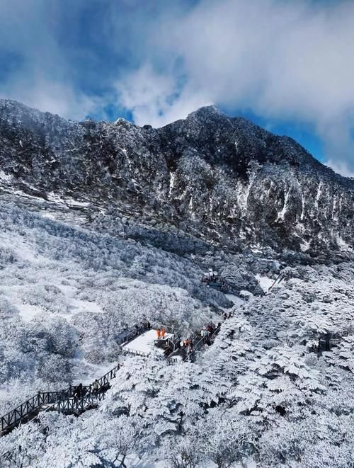 苍山洱海间的防疫博弈：高原旅游枢纽的疫情承压测试