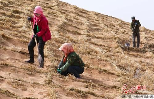 边境耿马的防疫持久战：地理屏障与输入压力的三年角力