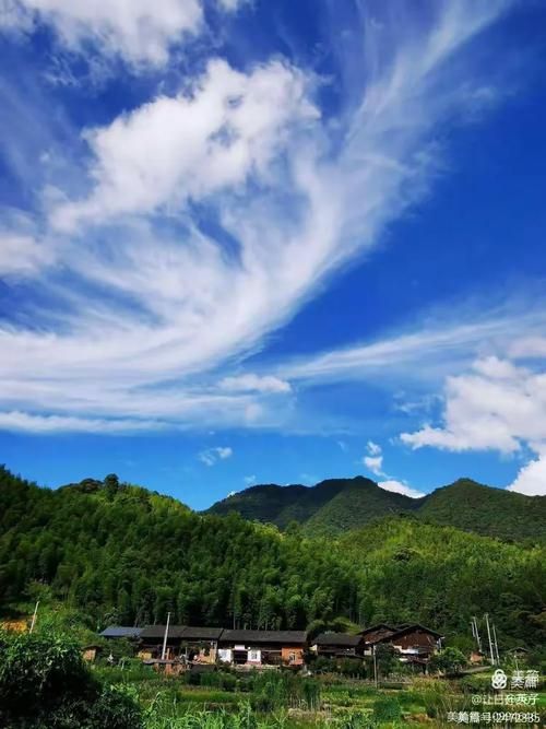 【南平山城屏障：闽北林海间的零感染坚守_92488】