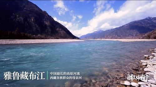 百科快讯 第109页