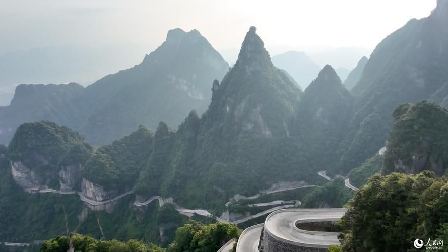 张家界：峰林屏障下的疫情破防与精准围堵