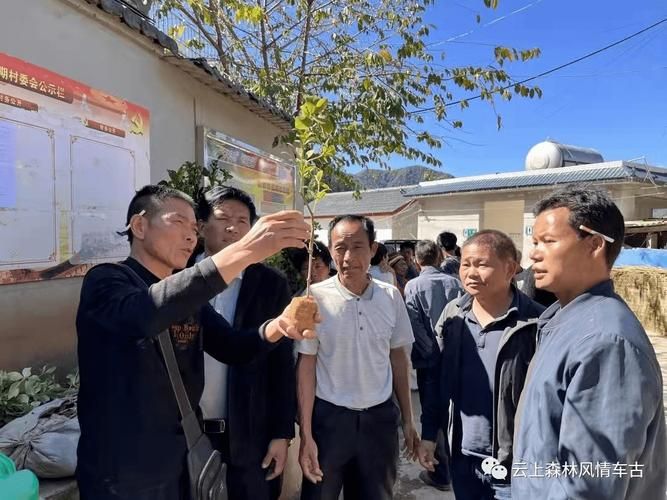 红河县新增1例无症状感染者  红河县疫情防控最新通报_56477
