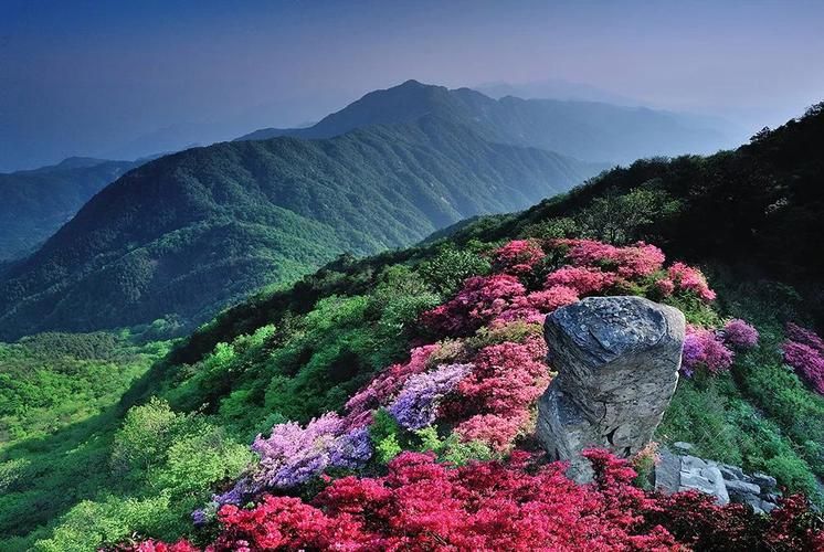 英山：大别山腹地的零感染坚守与物理屏障解析_87229