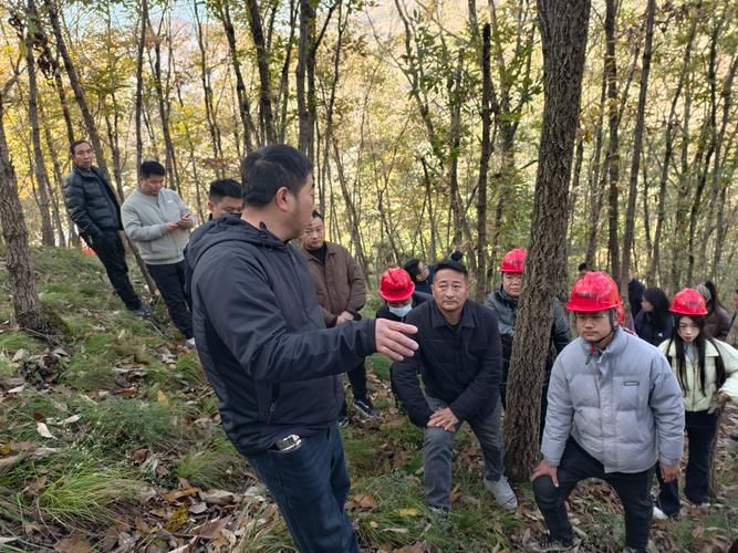 岚皋县：秦巴山区的零感染屏障与防疫实践