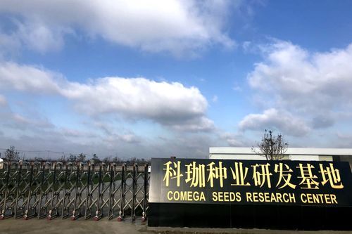 秦岭腹地的防疫坚守：宁陕县零感染背后的地理屏障_67308