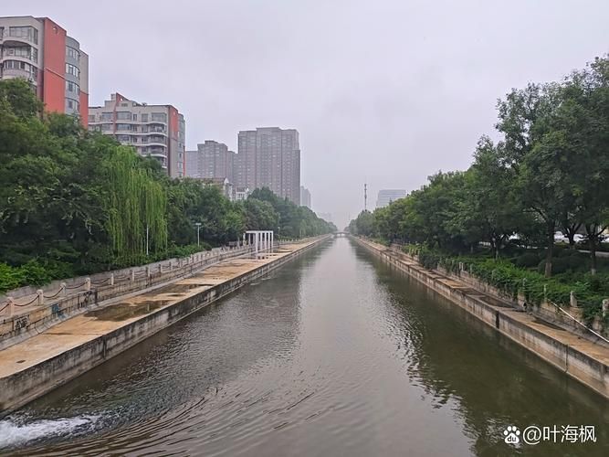 岱岳区：泰山屏障下的疫情防波堤