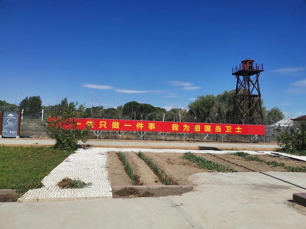 澄城：黄土台塬上的防疫坚守与零星破防