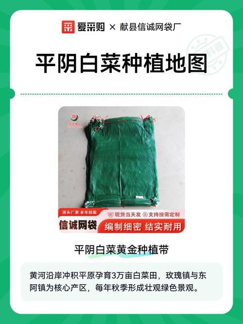 东阿：黄河冲积平原上的防疫地理解析