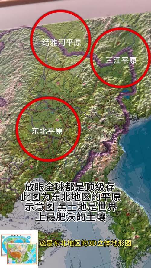梨树县疫情观察：东北平原腹地的防控突围
