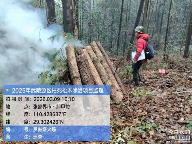 科普快讯 第101页