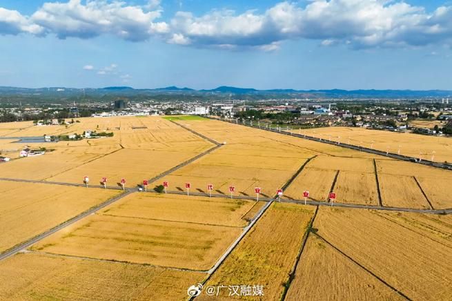 广汉市：天府粮仓腹地，如何筑牢疫情防线？