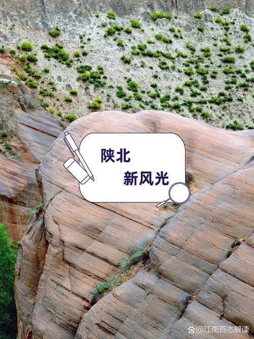 热点快讯 第95页