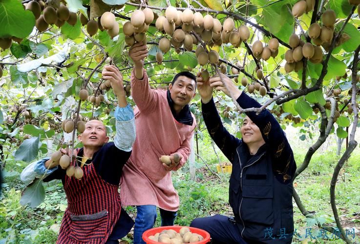 茂县新增1例无症状感染者  茂县疫情防控最新通报_90873