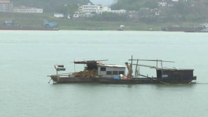 【苍梧：西江航道上的防疫破口与地理困局】