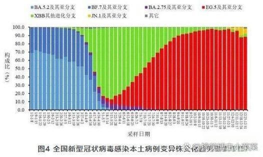 31省新增本土12例(31省新增本土9例)，清丰县疫情引关注