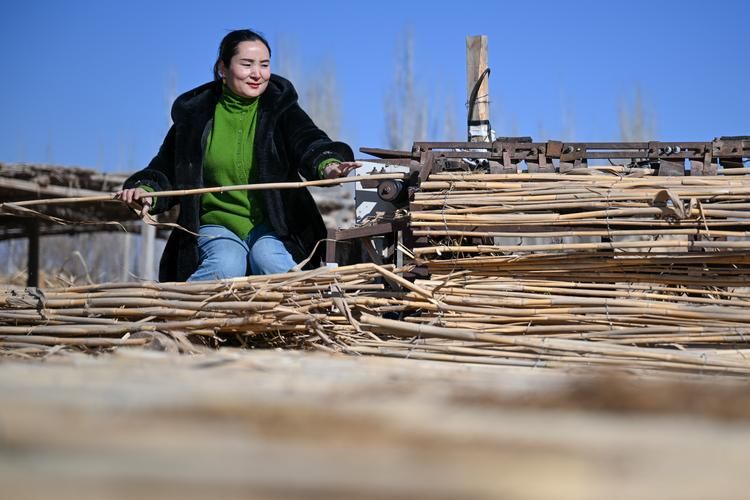 墨玉县疫情观察：昆仑屏障下的低感染率成因解析_62399