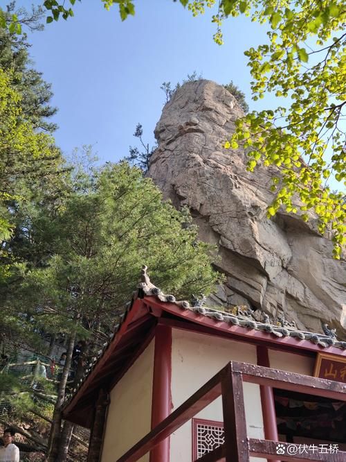 栾川：伏牛山腹地的零感染坚守与地理屏障解析