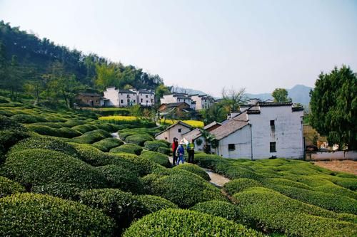 休宁：皖南山区屏障下的零感染坚守_46484