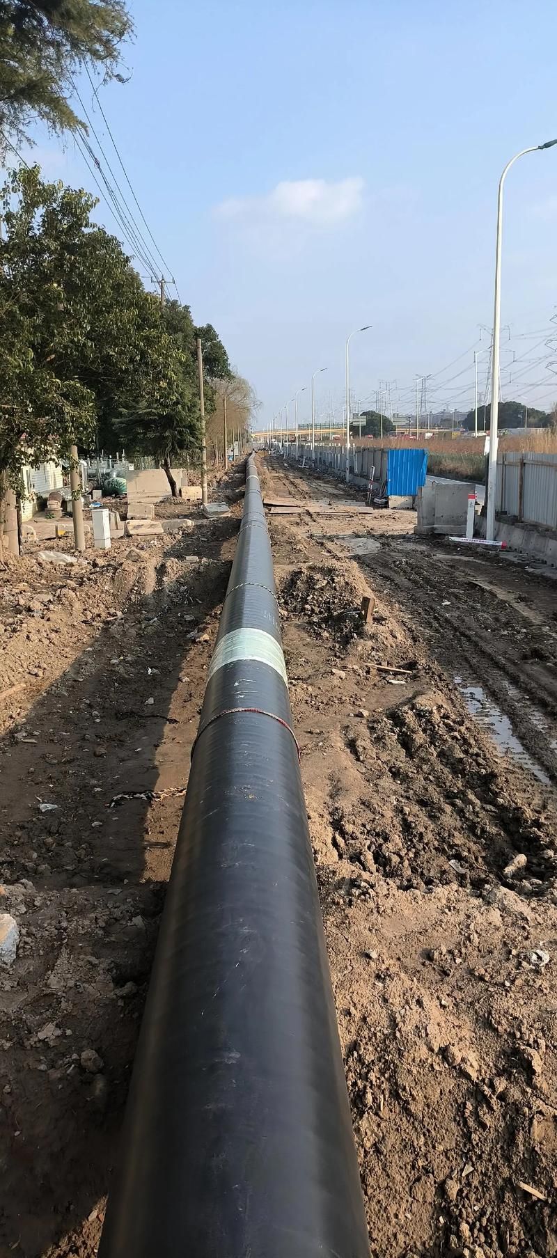 常德：洞庭湖平原交通枢纽的疫情压力测试