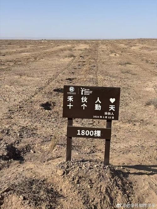 高原屏障下的零感染坚守：尼玛县防疫的地理密码