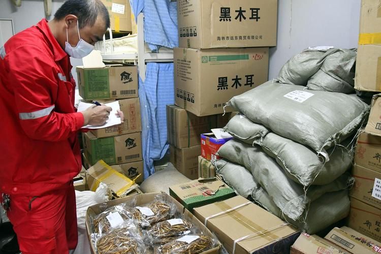 庆安县的防疫坚守：寒地黑土上的零感染记录